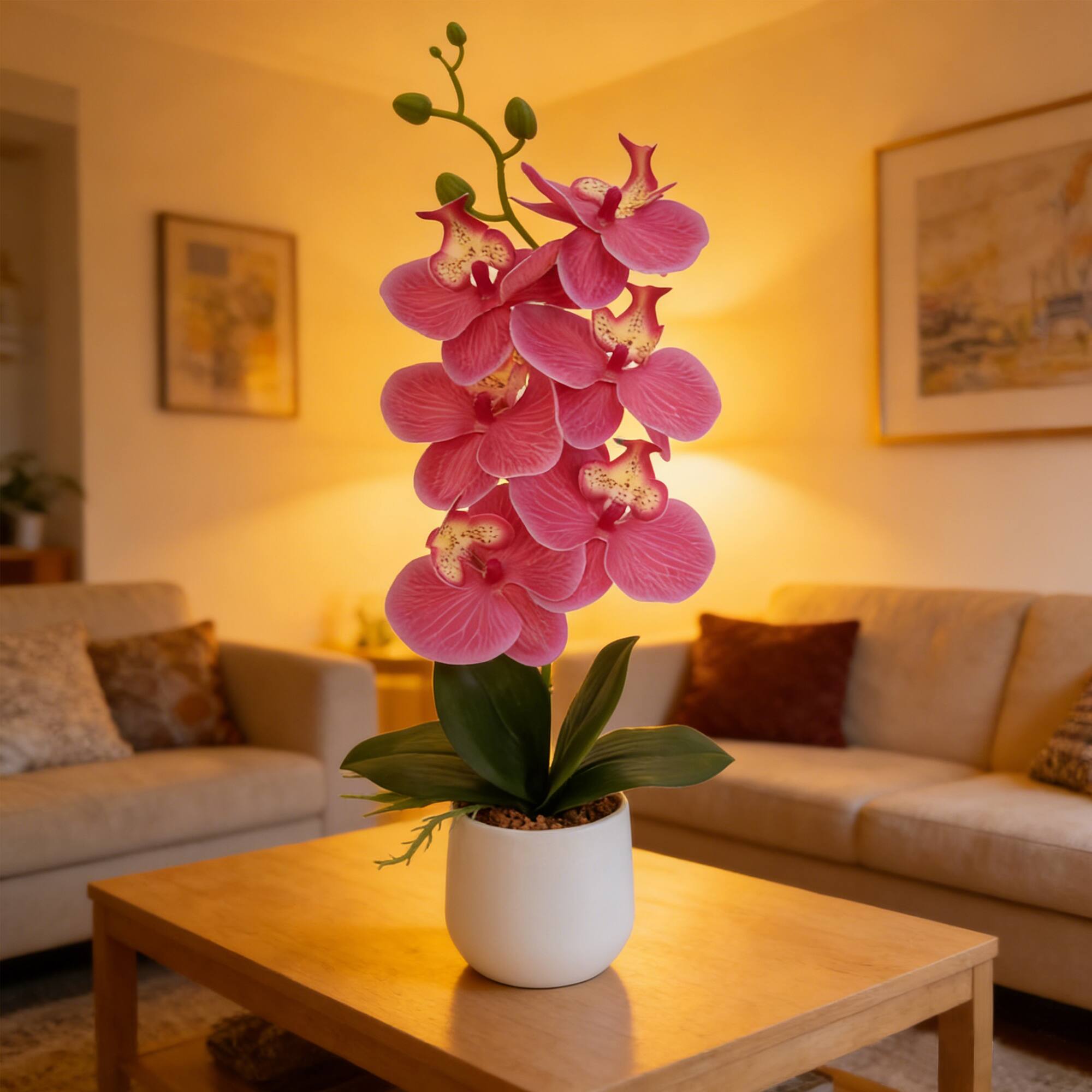 16" Pink Orchid in Ceramic Pot by Ashland®